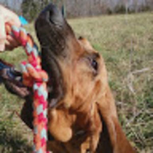 Meet your Posher, Deannah